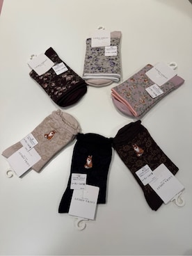 「LAURA ASHLEY（ローラアシュレイ）のフォックス刺繍 レーヨンシルク混 クルーソックス（ソックス/靴下、イエロー系）」を使った、yukinoさん（レディース・164cm）の秋コーディネート