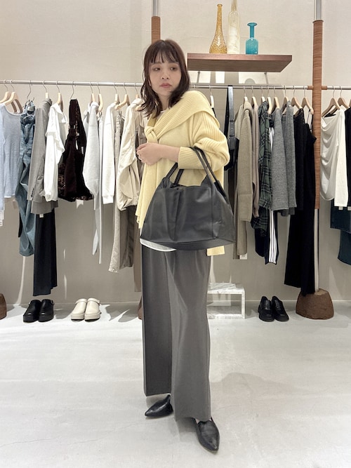 シアーカーブスリーブブラウス（シャツ/ブラウス）｜GALLARDAGALANTE