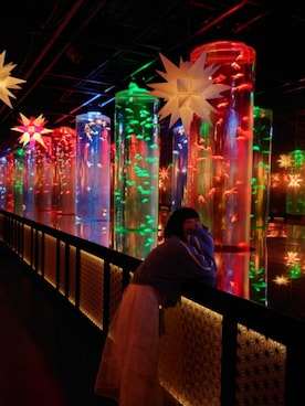 しろくまさんのコーディネート