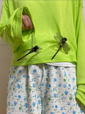 しろくまさんのコーディネート