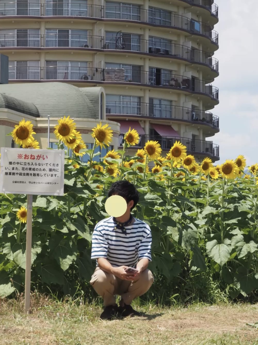 「ひまわり畑、夏コーデ」｜「HELLY HANSENのアイテム（Tシャツ/カットソー、ブルー系）」を使った、わい氏さん（メンズ・158cm）の夏コーディネートの1枚目の写真