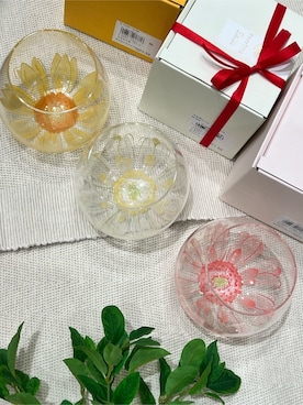 「アイテム（グラス/マグカップ/タンブラー）」を使った、nagiさん（レディース・100cm）の春コーディネート