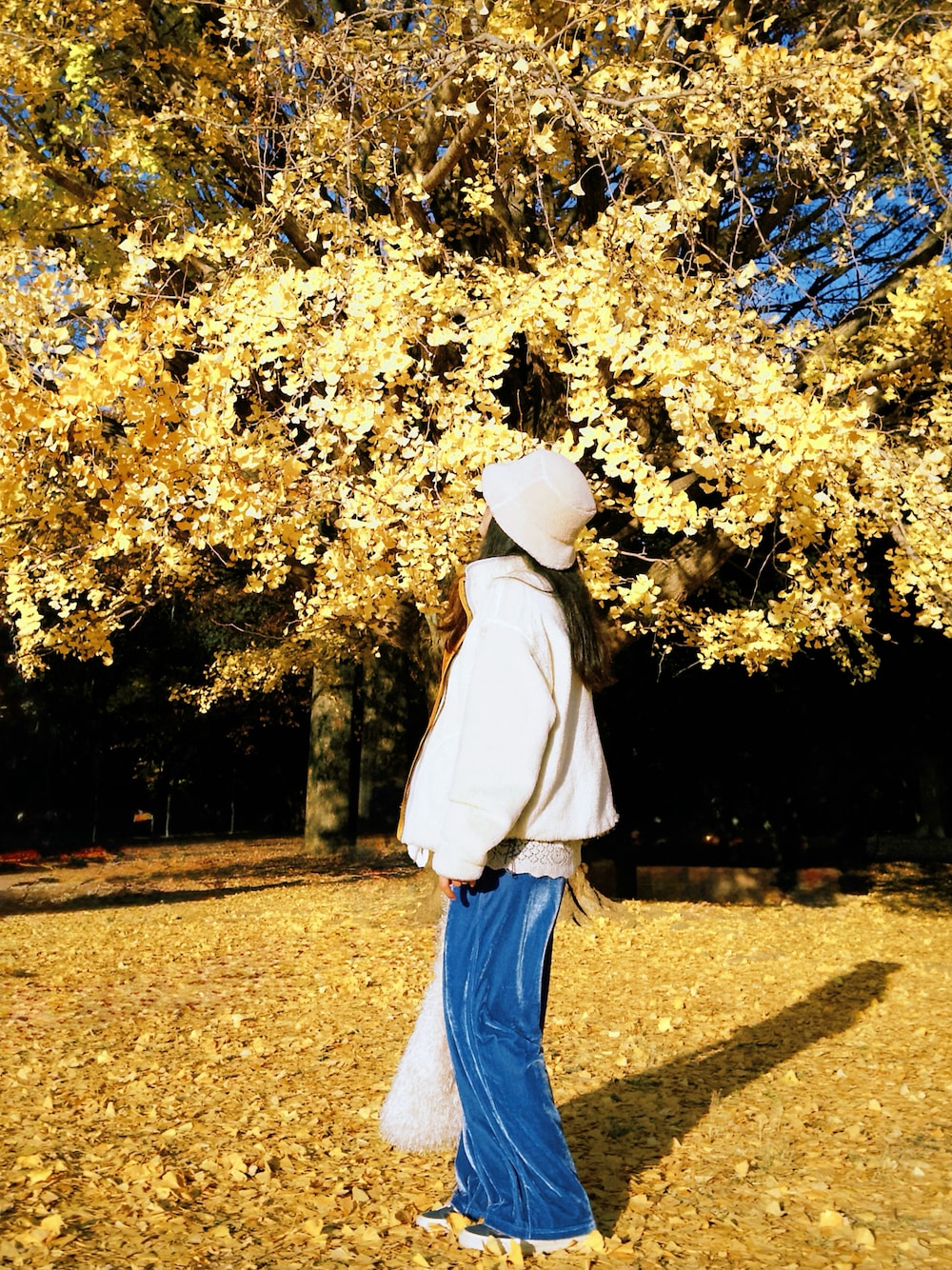 イエロー系のマウンテンパーカー、ブルー系のチノパンツ、ベージュ系のニット/セーターを着用したレディースの秋コーディネートの1枚目の写真