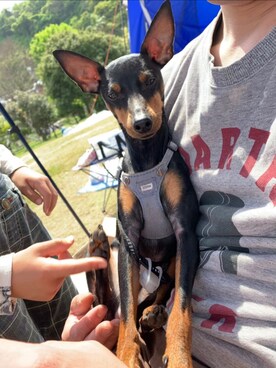 mack&くっきーさんのコーディネート