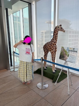 「Honeys（ハニーズ）のアイテム」を使った、かなちゃんさん（レディース・151cm）の夏コーディネート