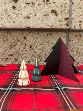 「アイテム（雑貨/ホビー）」を使った、canaco11さん（レディース・154cm）の秋コーディネート