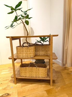 canaco11さん（レディース・154cm）の春コーディネート