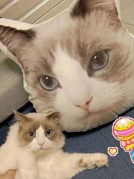 「アイテム（ペットグッズ）」を使った、ショウツーさん（レディース・165cm）の秋コーディネート