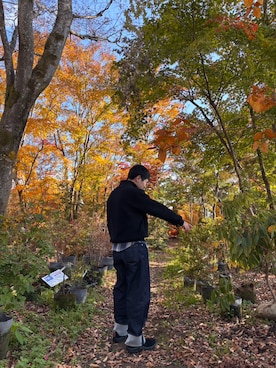 「アイテム（シャツ/ブラウス）」を使った、ぱーまんさん（メンズ・166cm・30代）の秋コーディネート