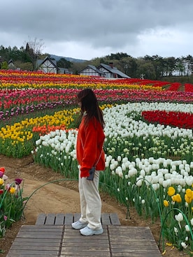 natsumiさん(レディース・157cm)の春コーディネート