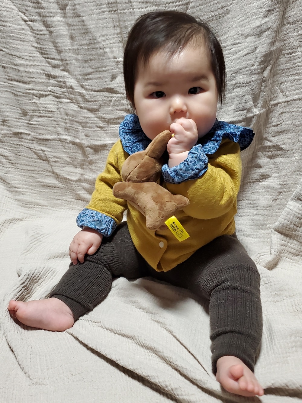 「WEARハロウィン2022、キッズファッション、カーディガン、女の子コーデ、女の子ベビー、ベビーコーデ、ブラウス、韓国子供服、バースデイ、秋コーデ」｜「Birthdayのアイテム（レギンス/スパッツ、ブラウン系）」を使った、Maaaaachanさん（骨格ストレート・キッズ・70cm）の秋コーディネートの1枚目の写真