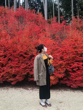 「紅葉コーデ」｜「アイテム（ワンピース/ドレス）」を使った、ミクさん（レディース・163cm）の秋コーディネート