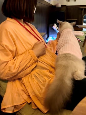 「ティアードブラウス」｜cocaさん（レディース・162cm）の春コーディネート