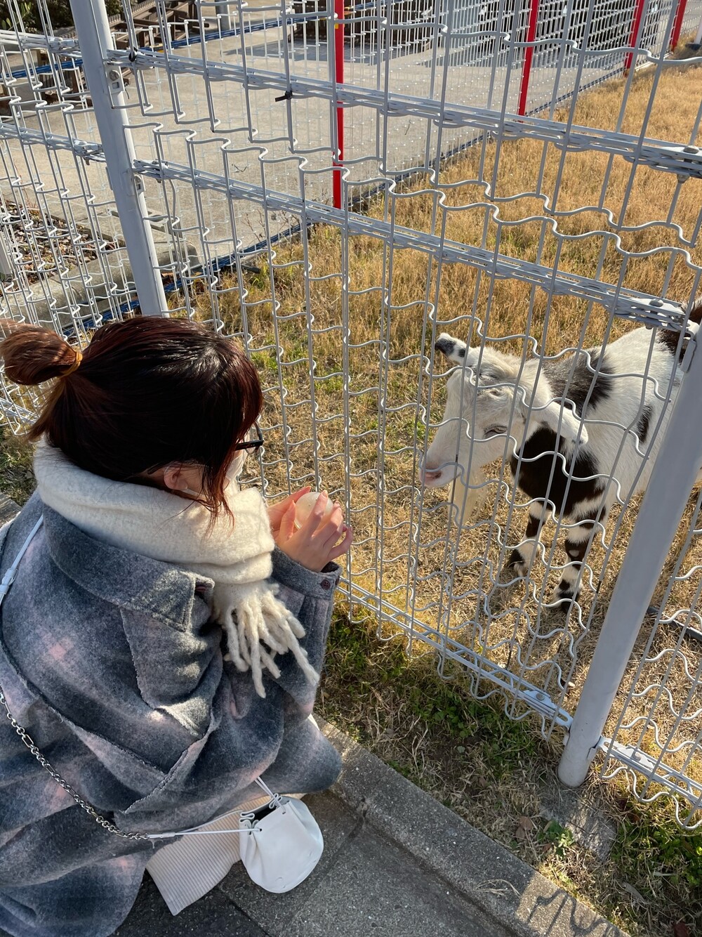 ピンク系のニット/セーター、ホワイト系のスカート、ブラック系のブーツを着用したレディースの冬コーディネートの3枚目の写真