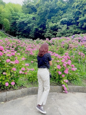 𝘄𝗮𝗸𝗮𝗻𝗮さん（レディース・161cm）の夏コーディネート