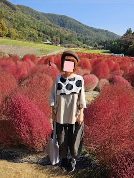 「アイテム（付け襟）」を使った、yoshiさん（レディース・158cm）の秋コーディネート