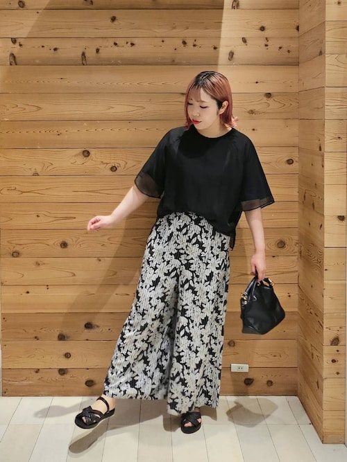 シフォンドッキング7分袖/325954（Tシャツ/カットソー）｜GLOBAL WORK