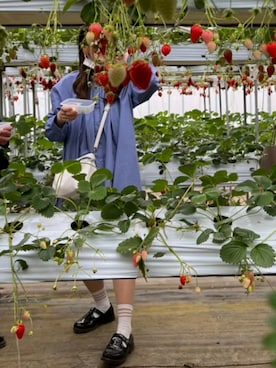 「アイテム（シャツワンピース）」を使った、ぴぐー 𓃟さん（レディース・153cm）の秋コーディネート