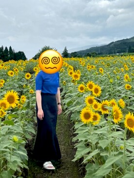 「frames RAY CASSIN（フレームスレイカズン）のアイテム（スカート）」を使った、cknさん（レディース・158cm）の夏コーディネート