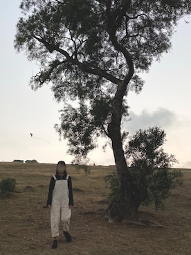 jenlauさんのコーディネート