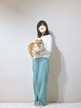 服の記録とそれに付き合わされる犬さんのコーディネート