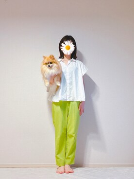 服の記録とそれに付き合わされる犬さんのコーディネート
