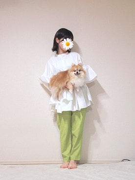服の記録とそれに付き合わされる犬さんのコーディネート