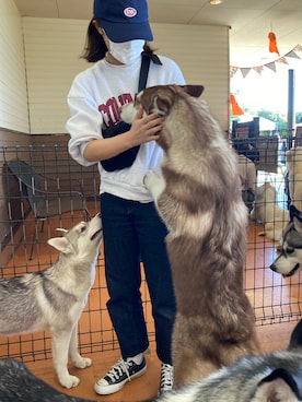 しばさん(レディース・155cm)の秋コーディネート