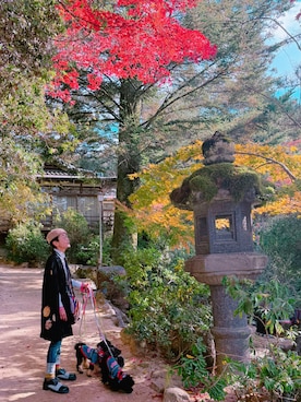 ずんちゃ🌞さん（レディース・163cm）の冬コーディネート