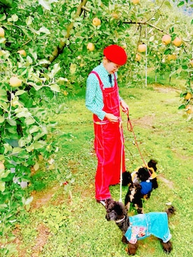 「アイテム（フォーマルスーツ/小物）」を使った、ずんちゃ🌞さん（レディース・163cm・50代）の秋コーディネート