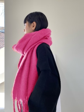 「Bifrost（ビフレスト）のアイテム」を使った、douladoulaさん（レディース・162cm）の冬コーディネート