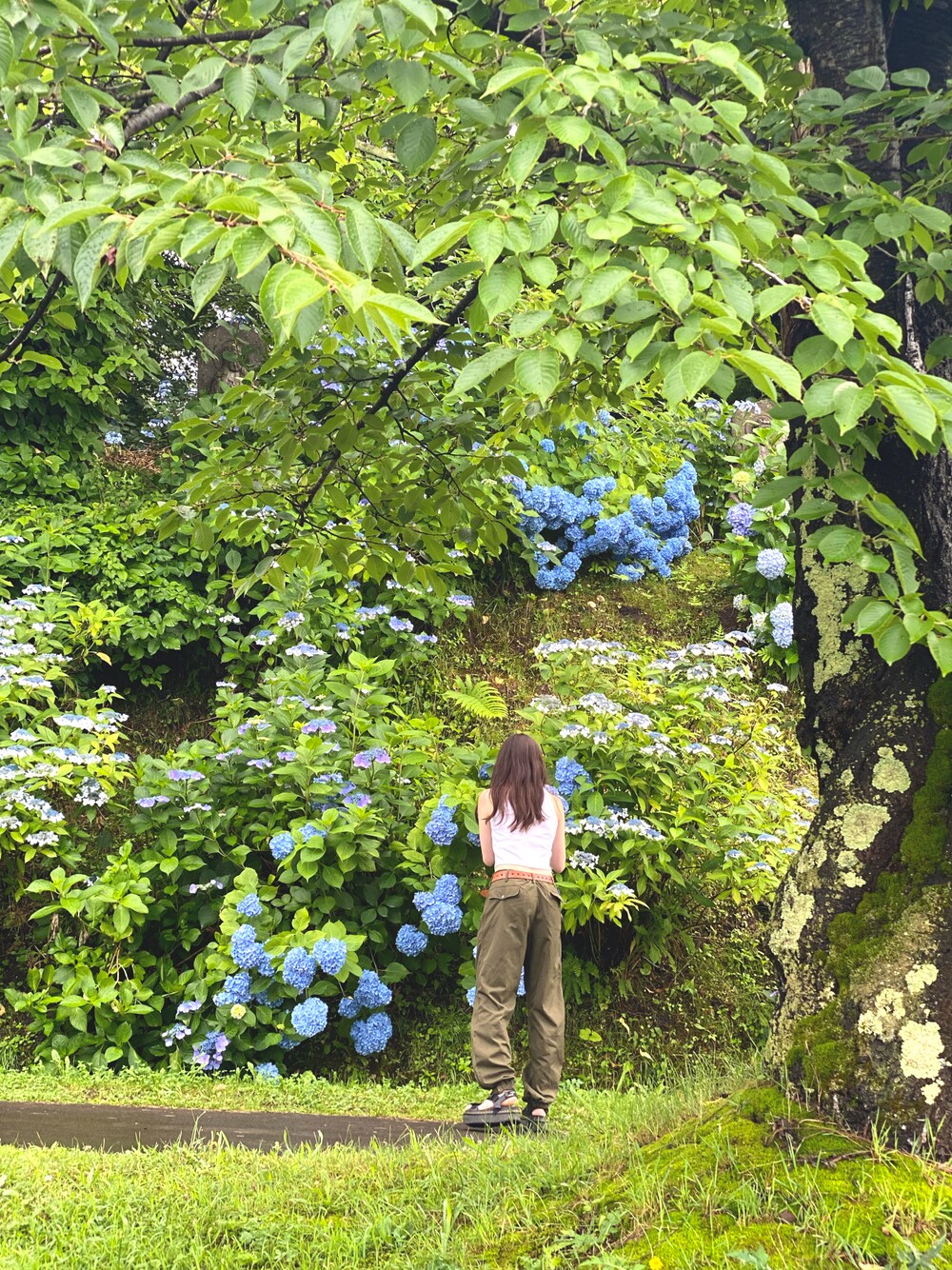 「デルモなトモダチのアイテム（その他、イエロー系）」を使った、ならちゃんさん（骨格ウェーブ・レディース・155cm）の夏コーディネートの1枚目の写真