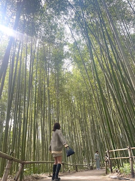 「SPINNS（スピンズ）のアイテム（カーディガン/ボレロ）」を使った、happylife1997さん（レディース・170cm）の春コーディネート