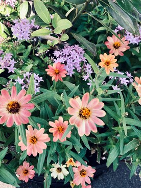 pn620さんのコーディネート