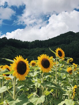 pn620さんのコーディネート