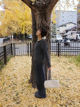 「アイテム（シュシュ）」を使った、ひかたんさん（レディース・158cm）の秋コーディネート