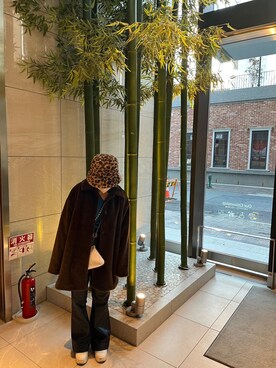 「JEANASIS（ジーナシス）のアイテム（ステンカラーコート）」を使った、maru7chaaさん（レディース・153cm）の冬コーディネート