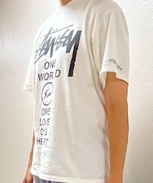 STUSSY | Tシャツ/カットソー