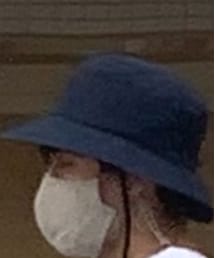 STUDIO NICHOLSON | ハット