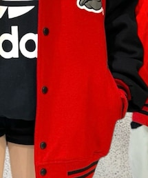 DOGTOWN | スタジャン