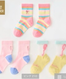 Birthday | レッグウェア