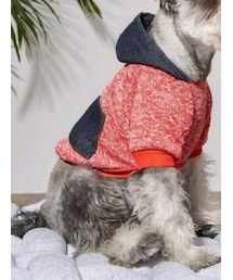 SHEIN | ポケットデザインペットパーカー(ペットウェア)