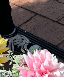 CONVERSE ALL STAR | スニーカー