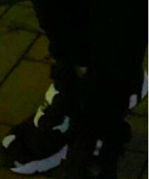 Reebok | スニーカー