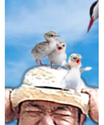 no brand | ハット