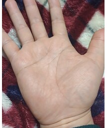 福福ぷくぷく | その他