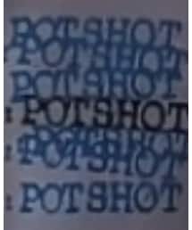 potshot【GILDAN-L】 | Tシャツ/カットソー