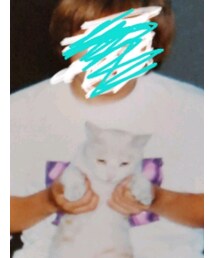 シンヤノモト | Tシャツ/カットソー