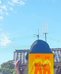 HIDE AND SEEK | ハット