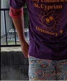 SCREEN STARS | Tシャツ/カットソー